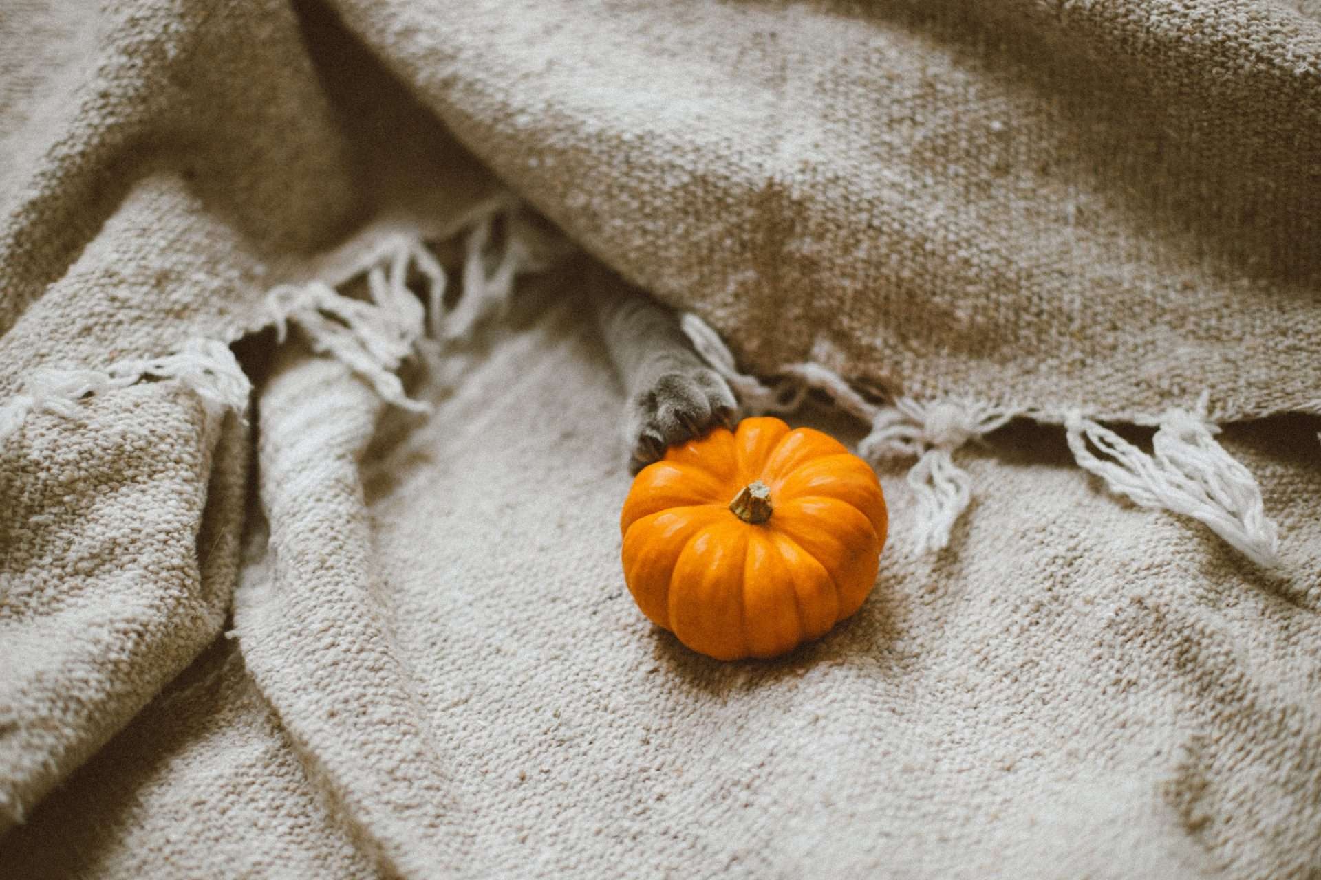 Ritual de otoño: cómo celebrar Samhain (el origen de Halloween) en la rueda del año celta
